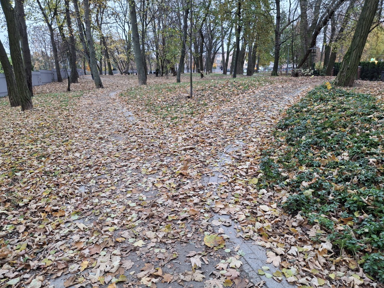 20241108_124447