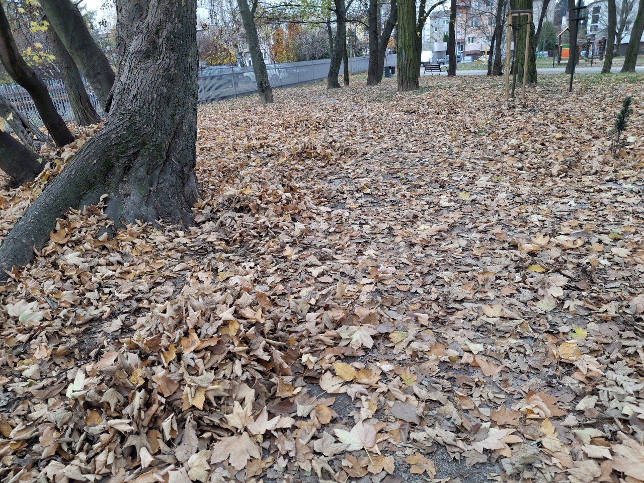 20241108_124644