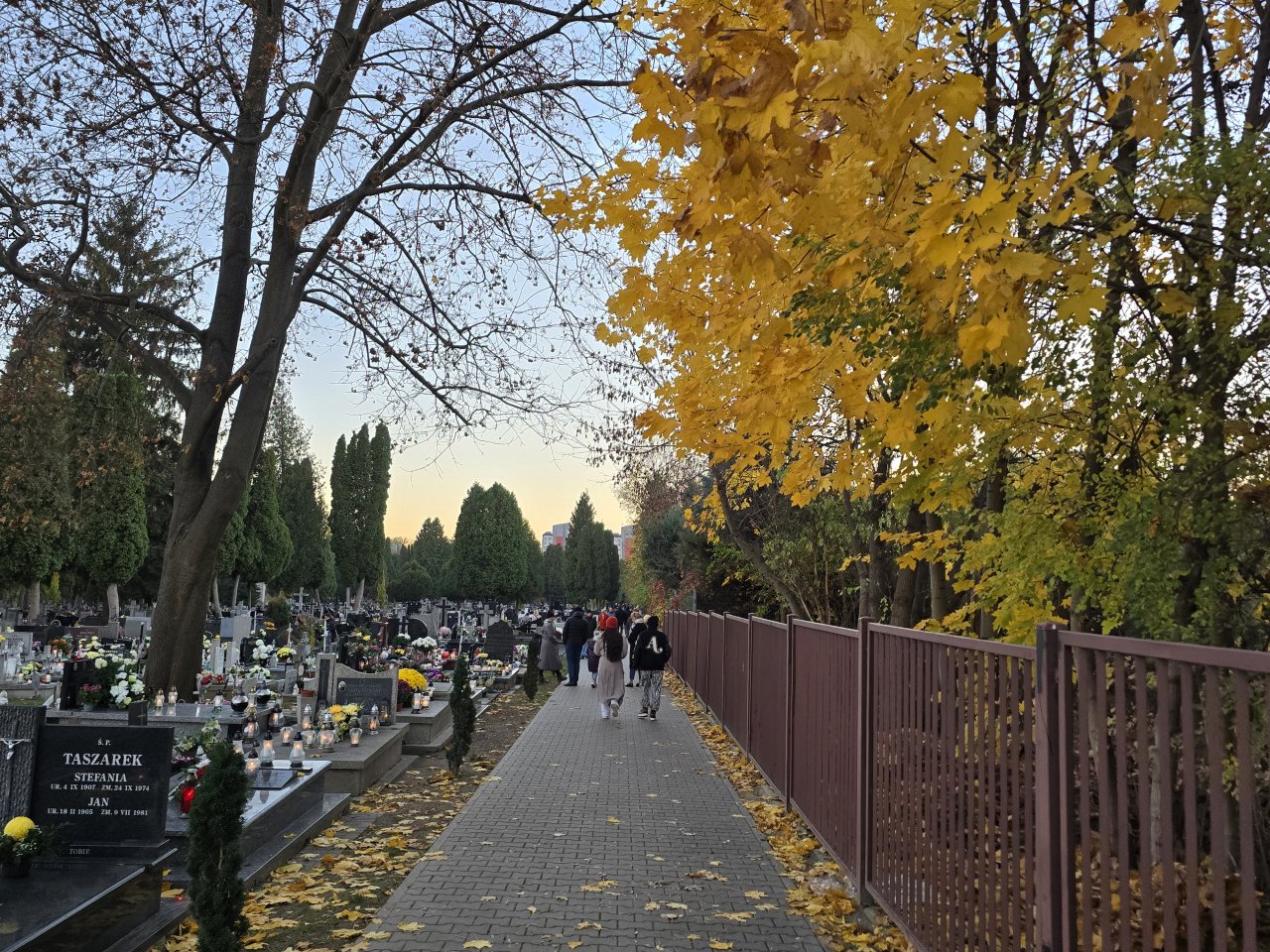 20241101_160326