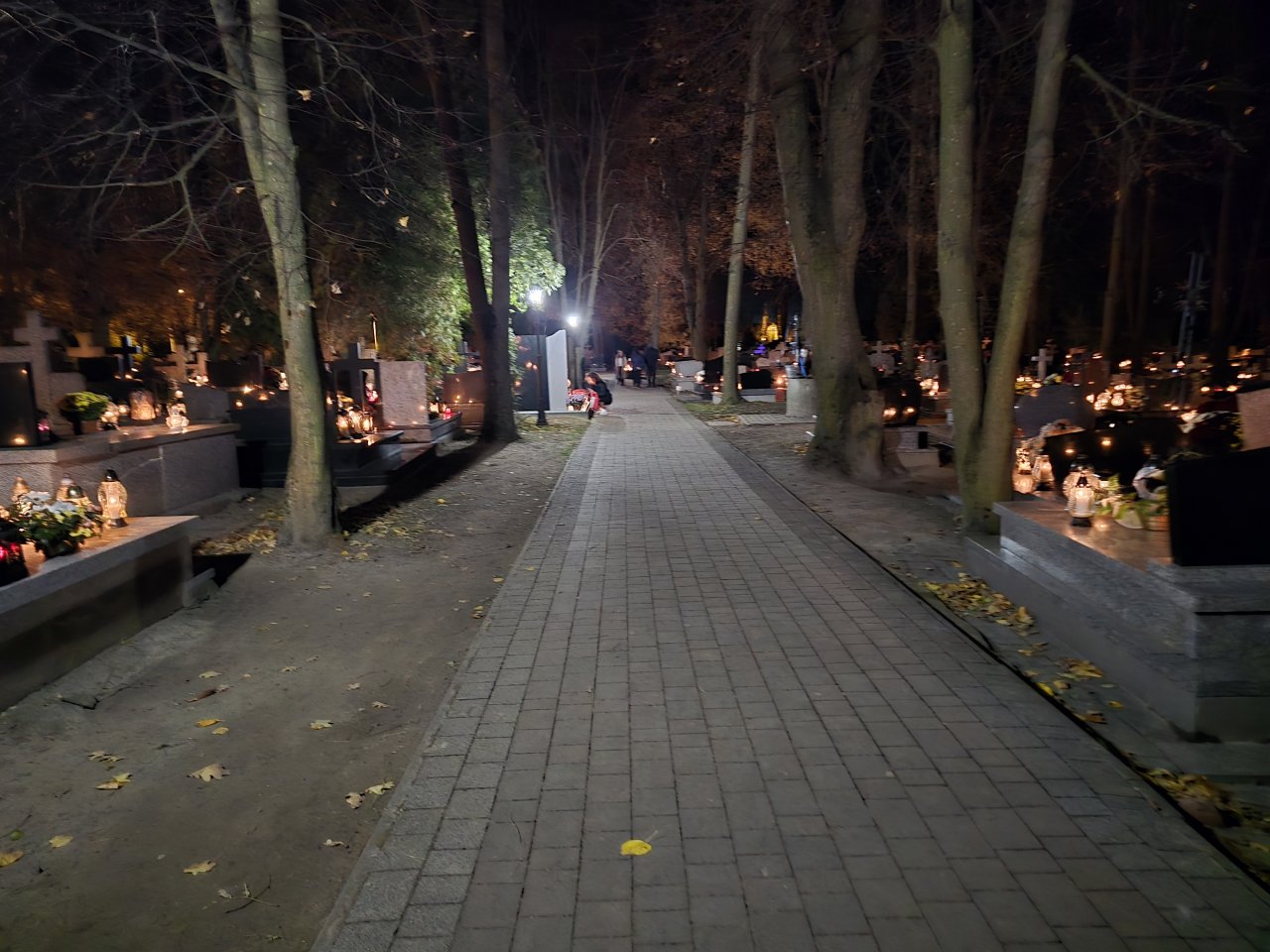 20241101_172852