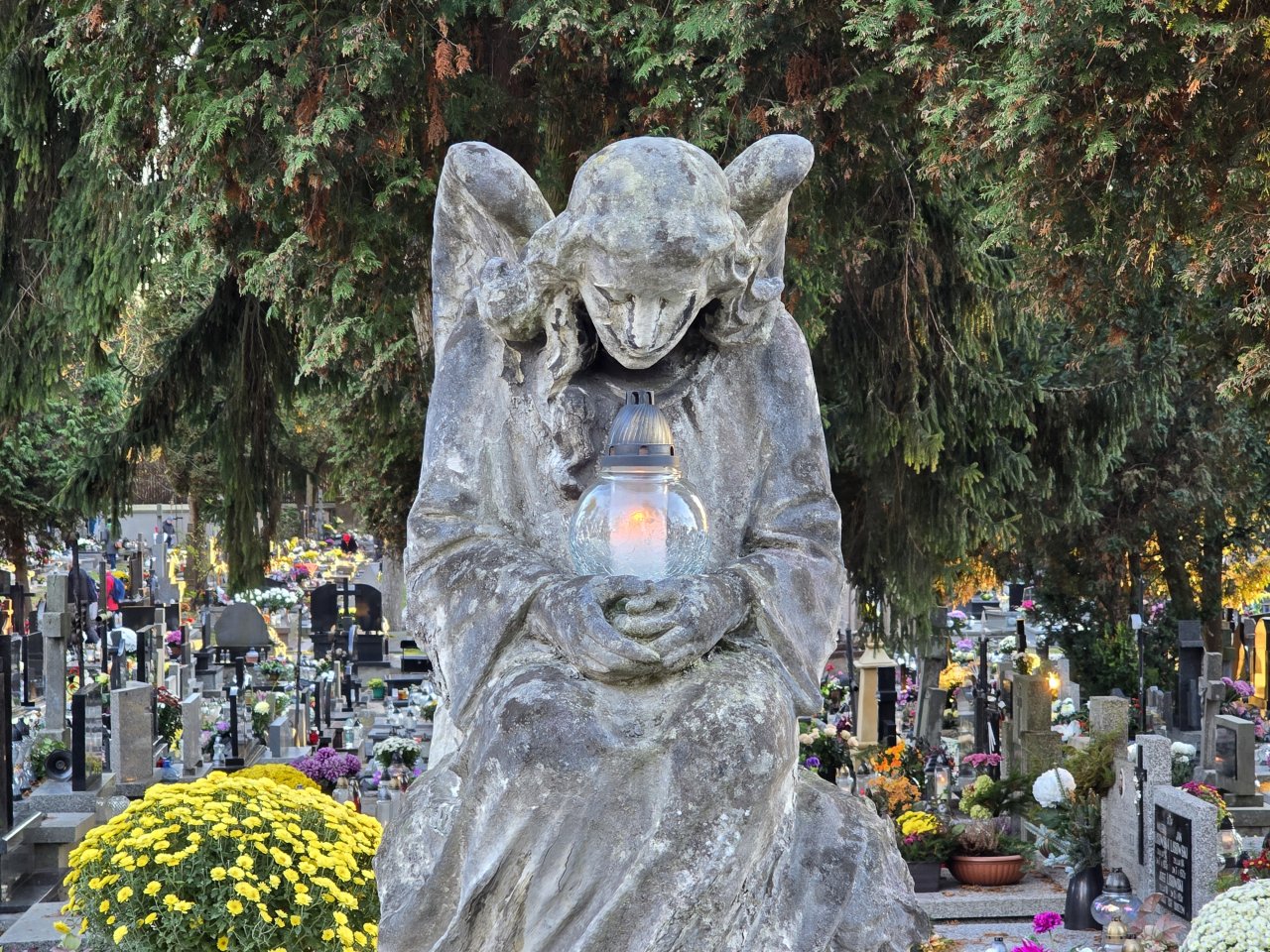 20241102_152418
