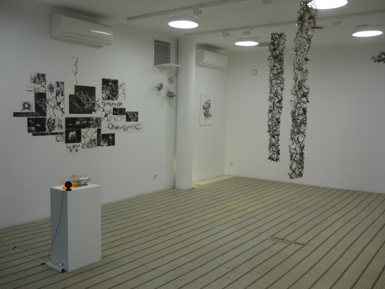 P1270619