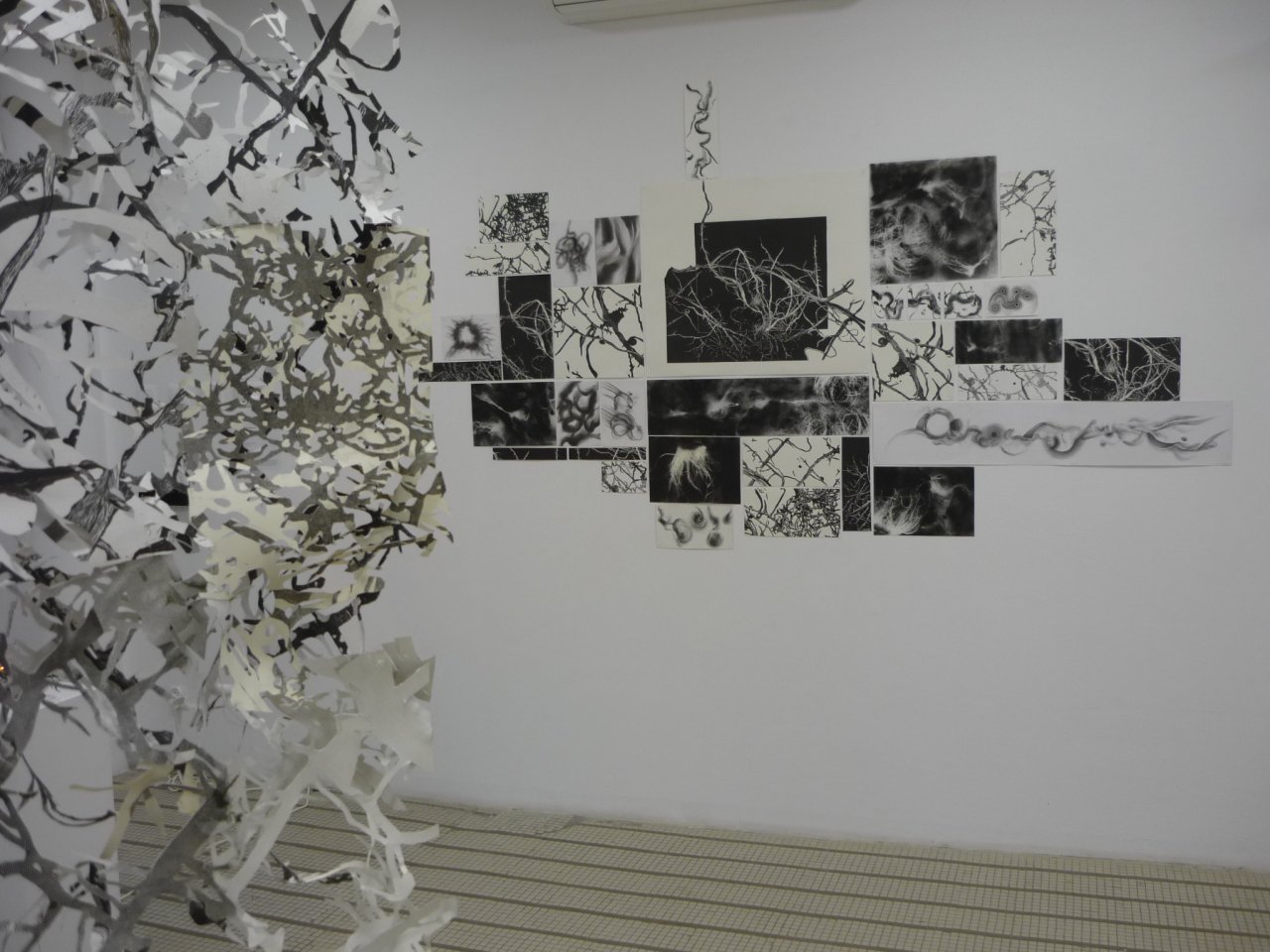 P1270694
