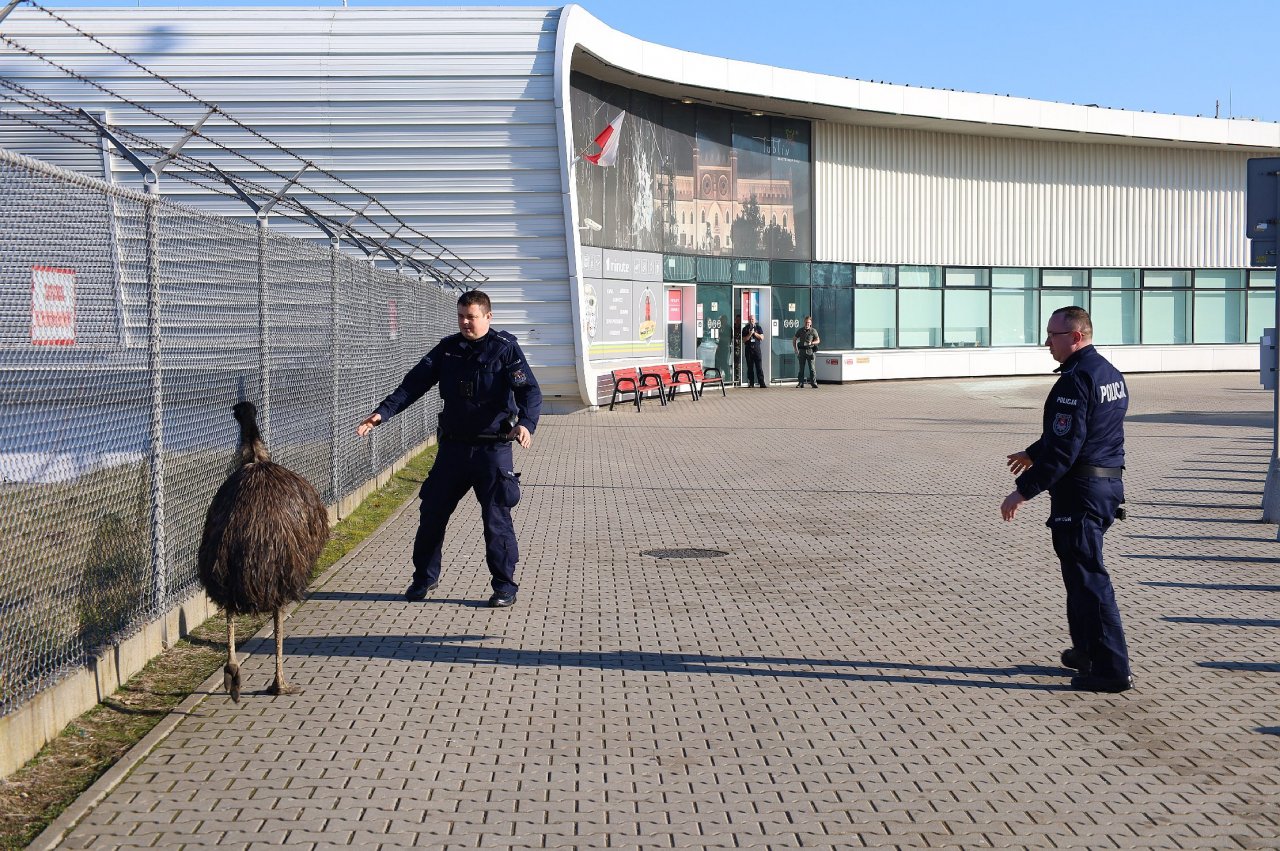 132c3