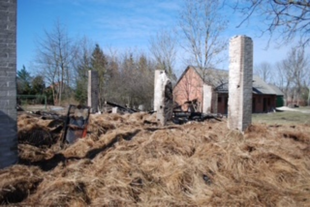 340-262748_g