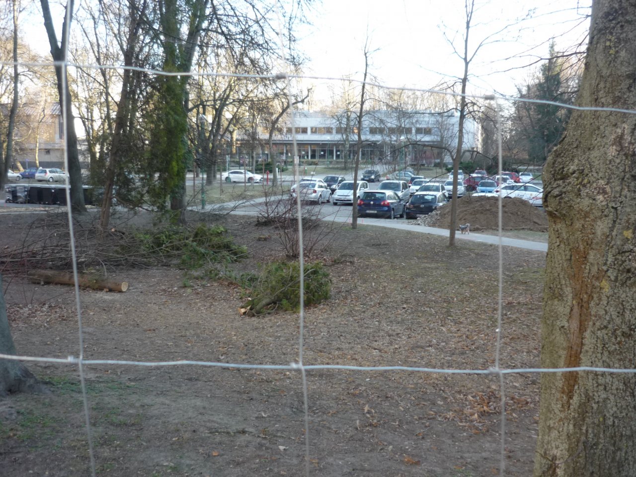 P1280335