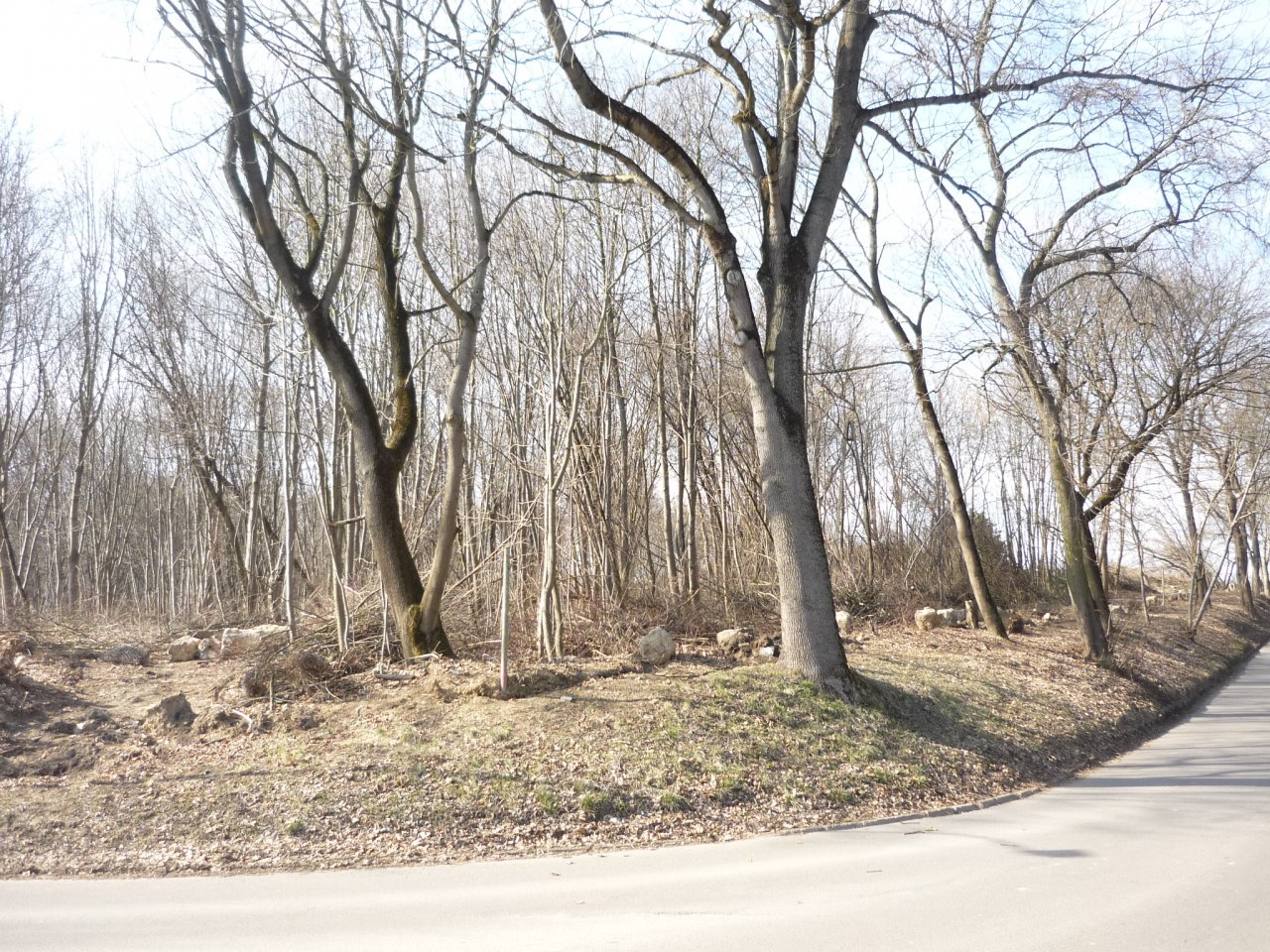 P1280565
