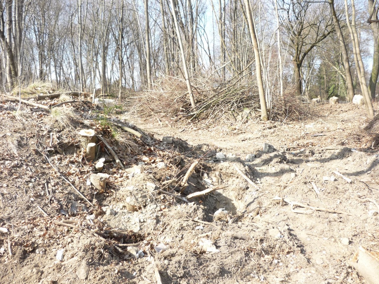 P1280570