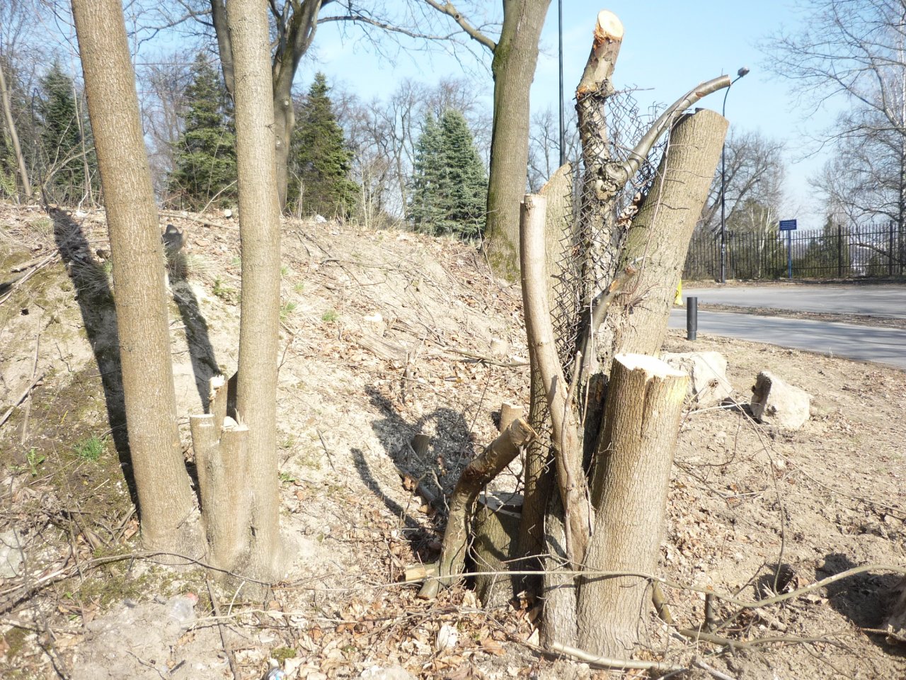 P1280579
