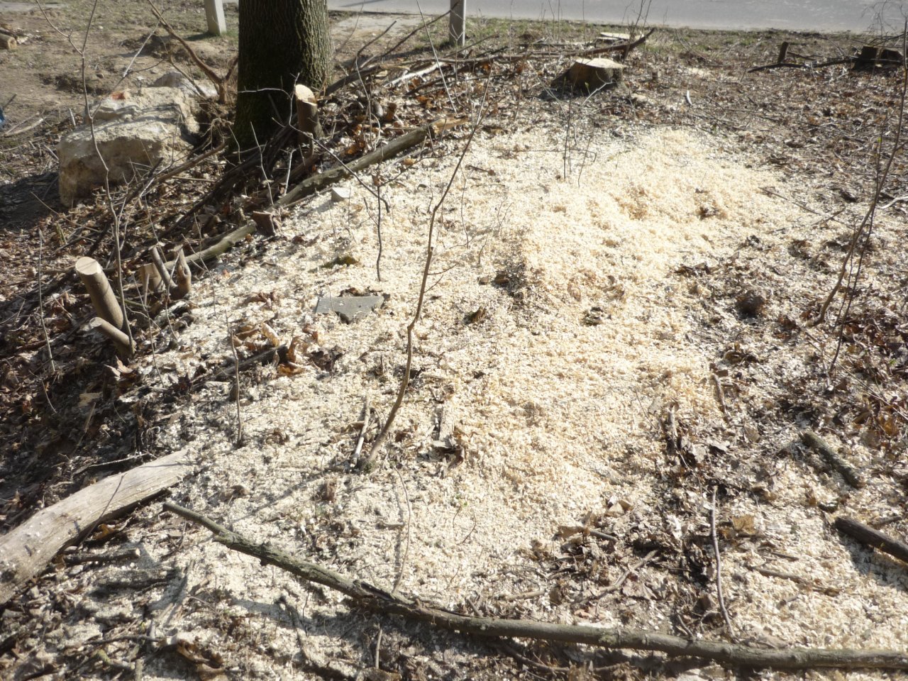 P1280588