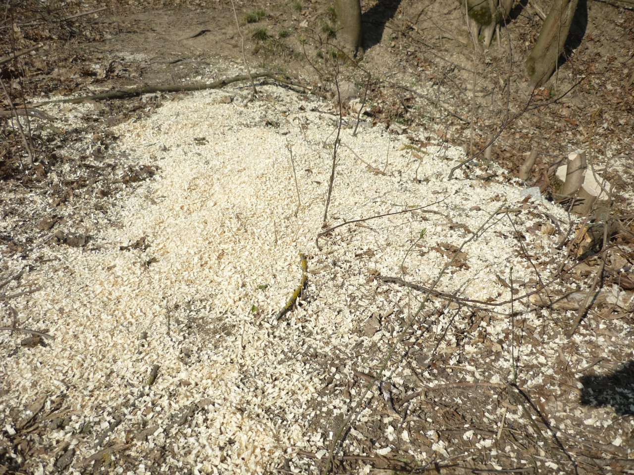 P1280596