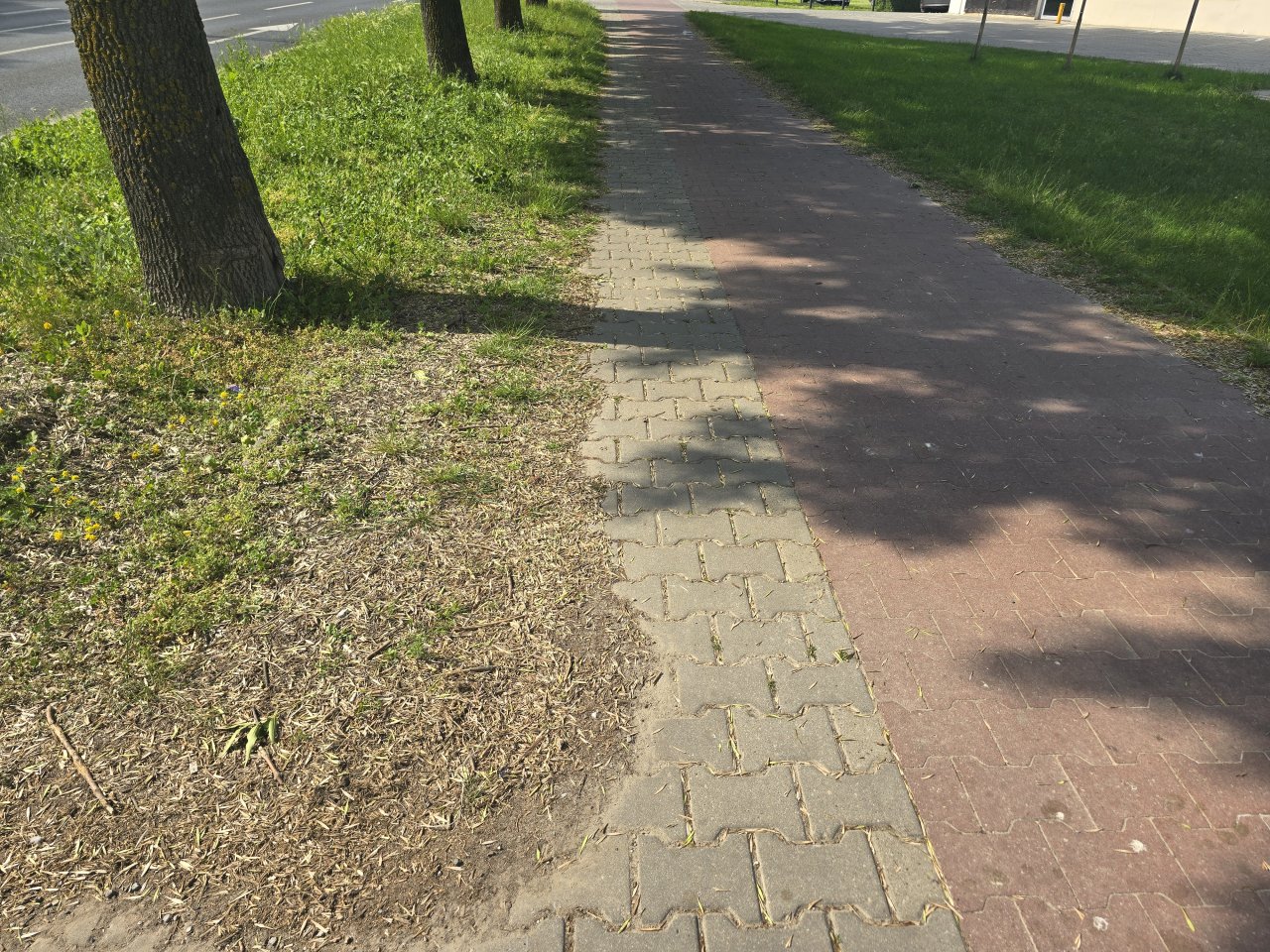 20250617_160153
