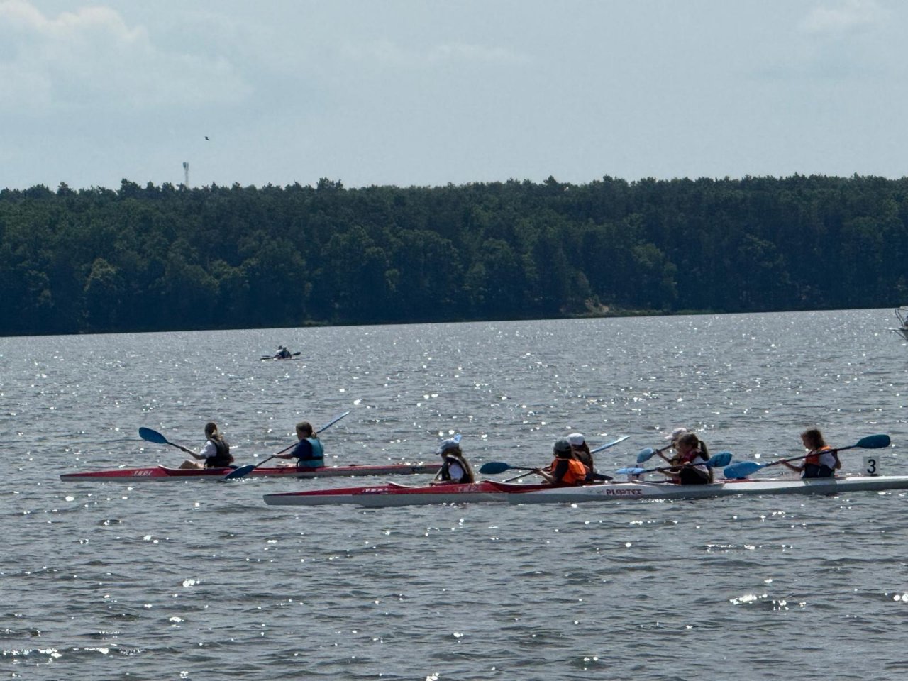 IMG-20250608-WA0121