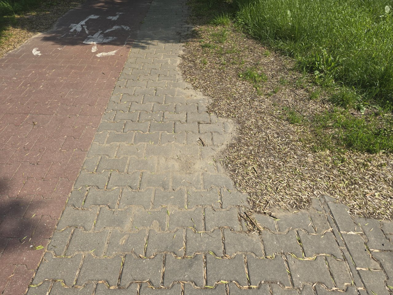20250617_160157