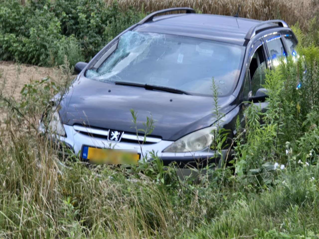136r31