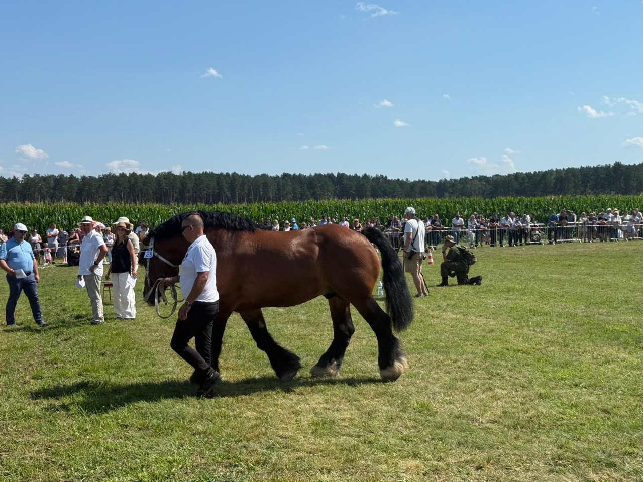 IMG-20250803-WA0056
