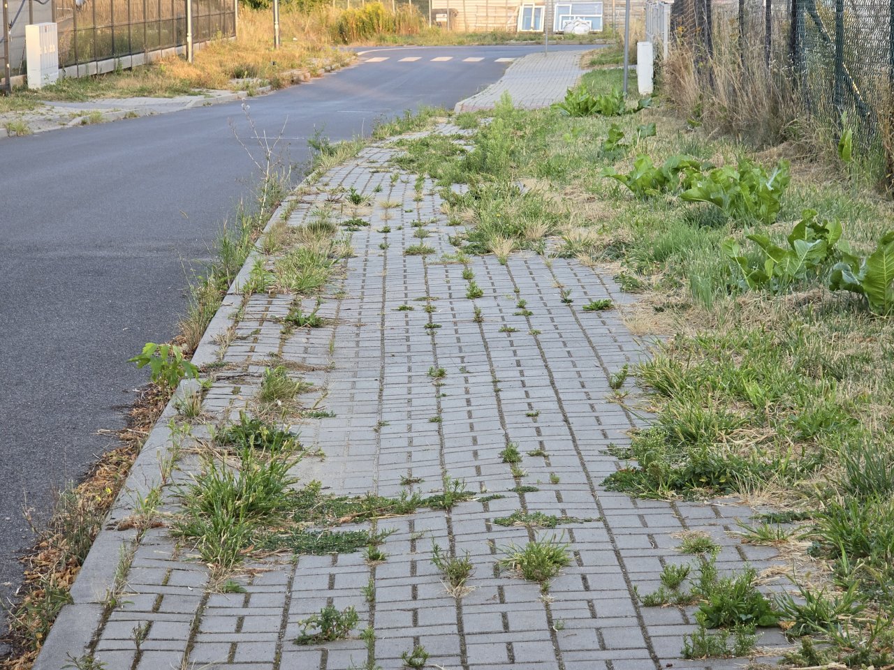 20250823_185921