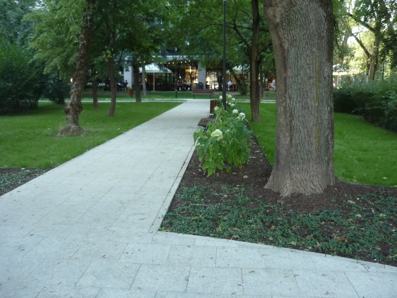 P1280990
