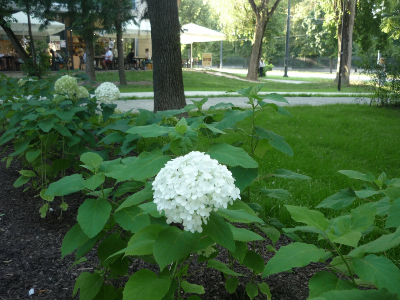 P1290005