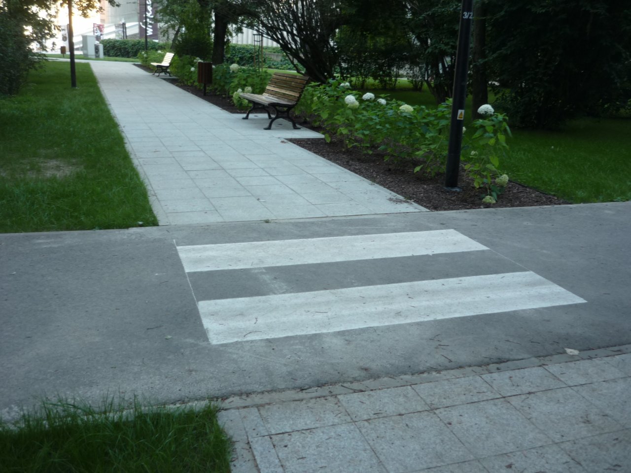 P1290023