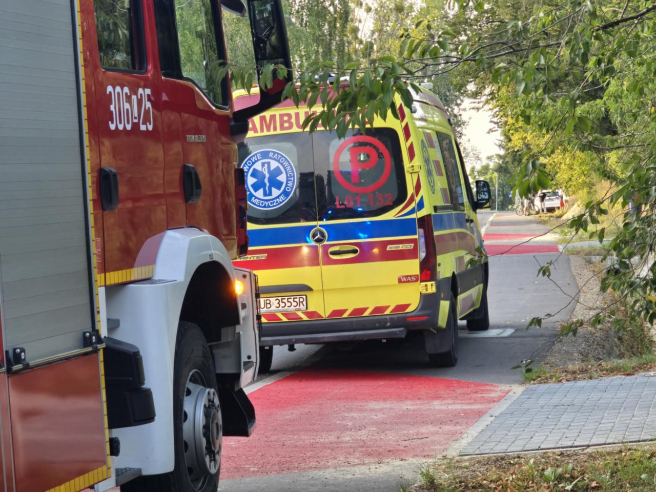 137n56