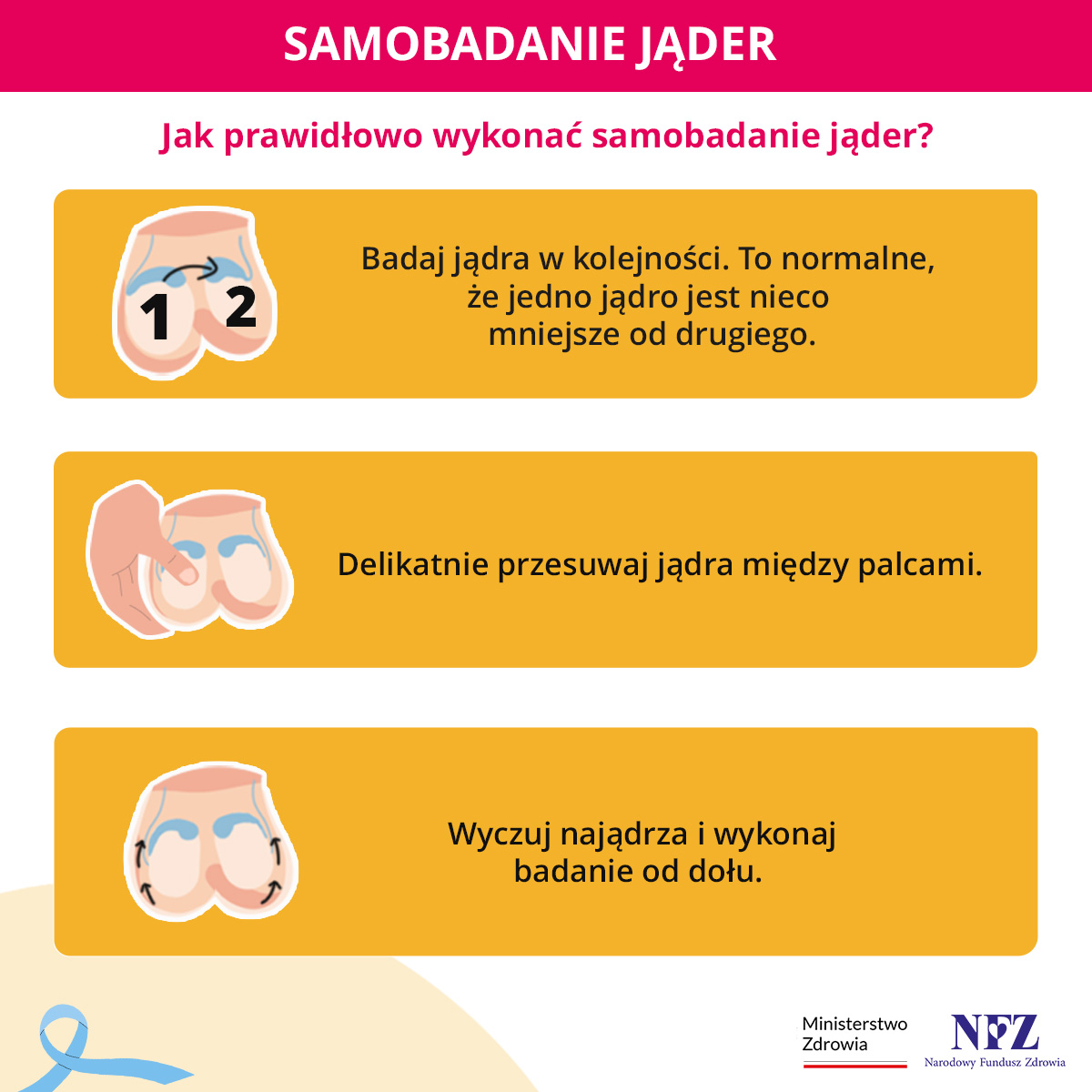 Samobadanie jąder_kwadrat 3