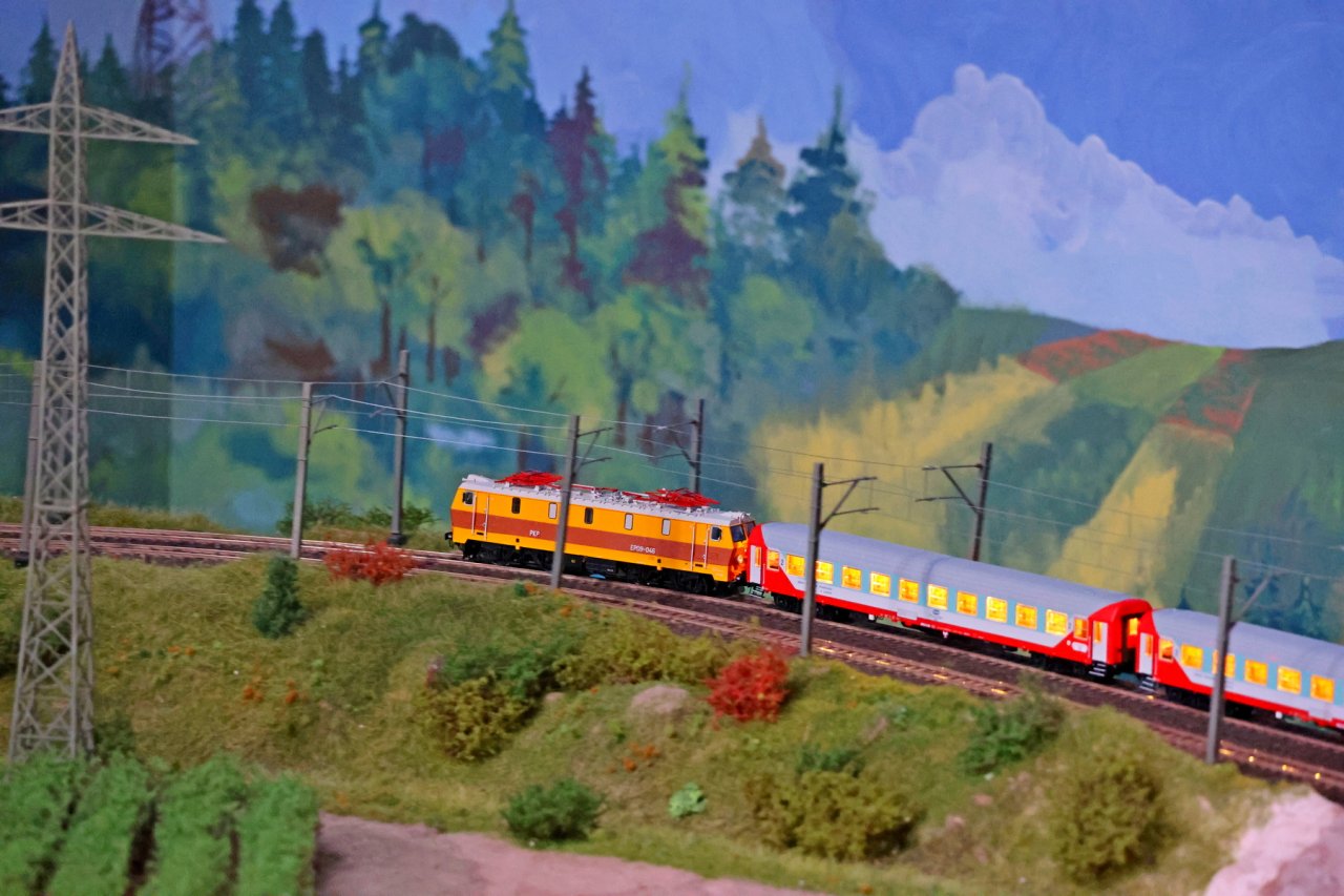 IN8A9259