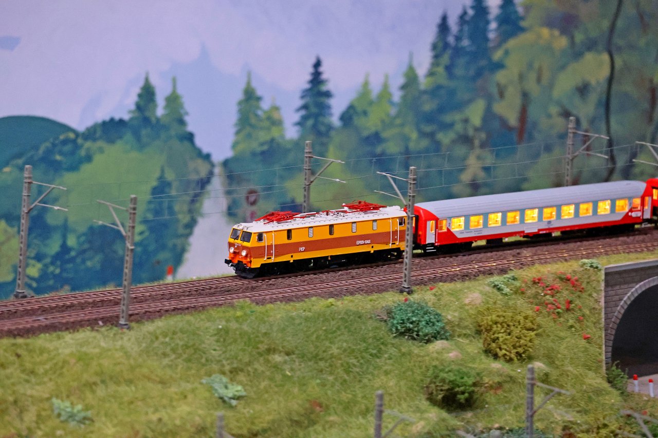 IN8A9267
