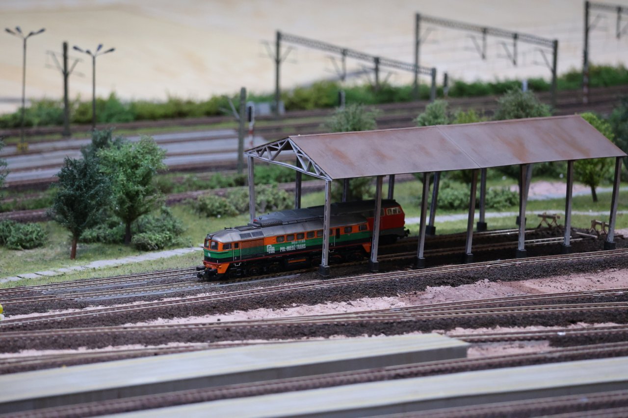 IN8A9415