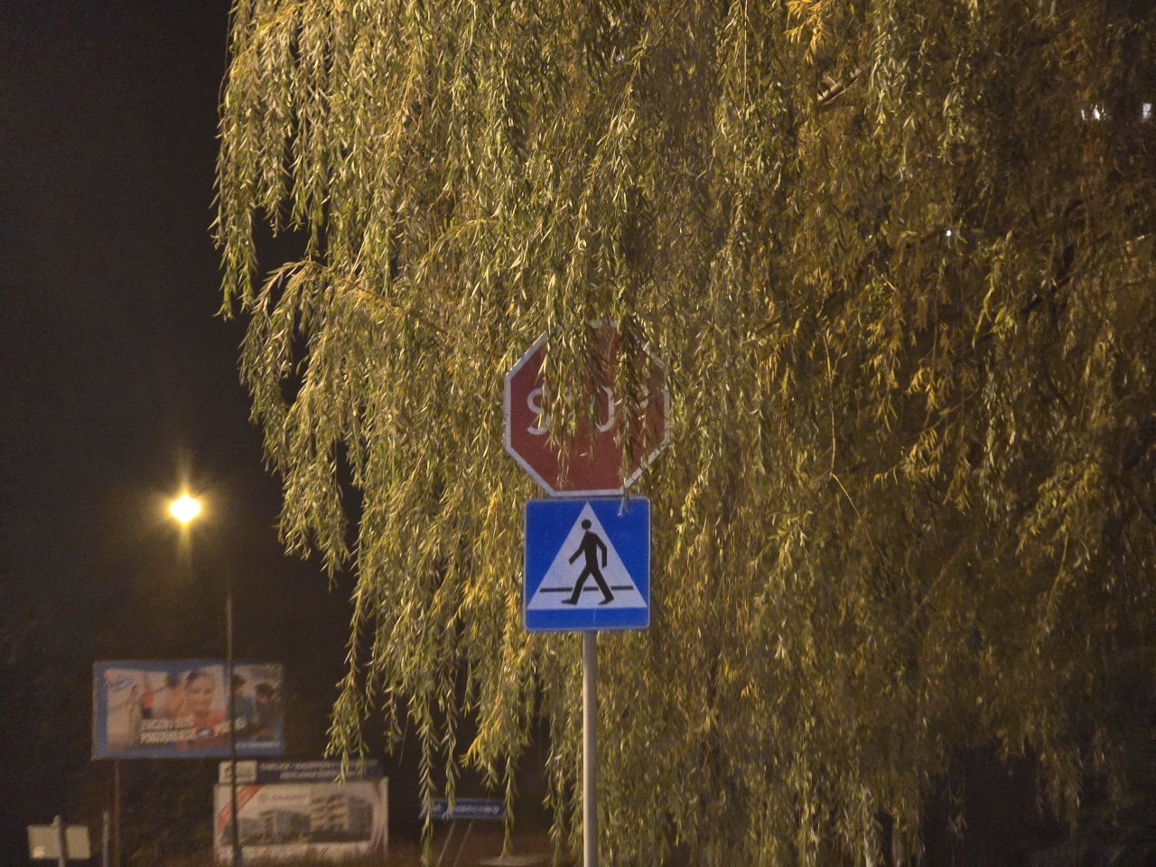 20251031_205025(0)