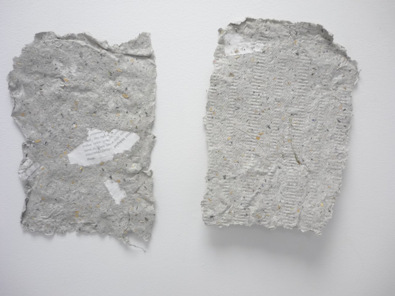 P1290428