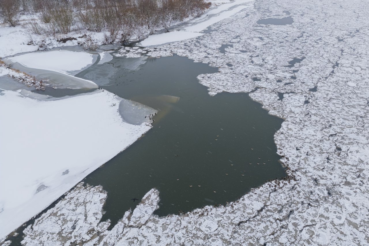 DJI_20260112144430_0727_D-DxO_DeepPRIME 3