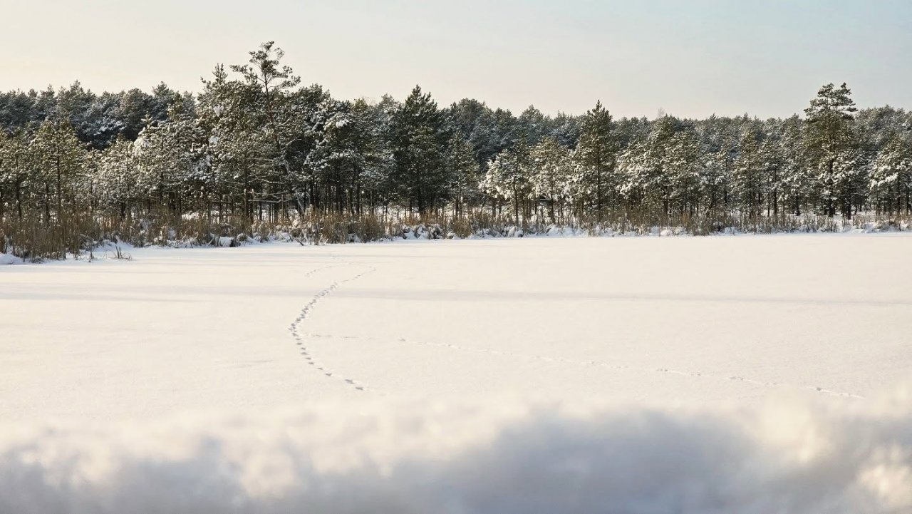 140c66
