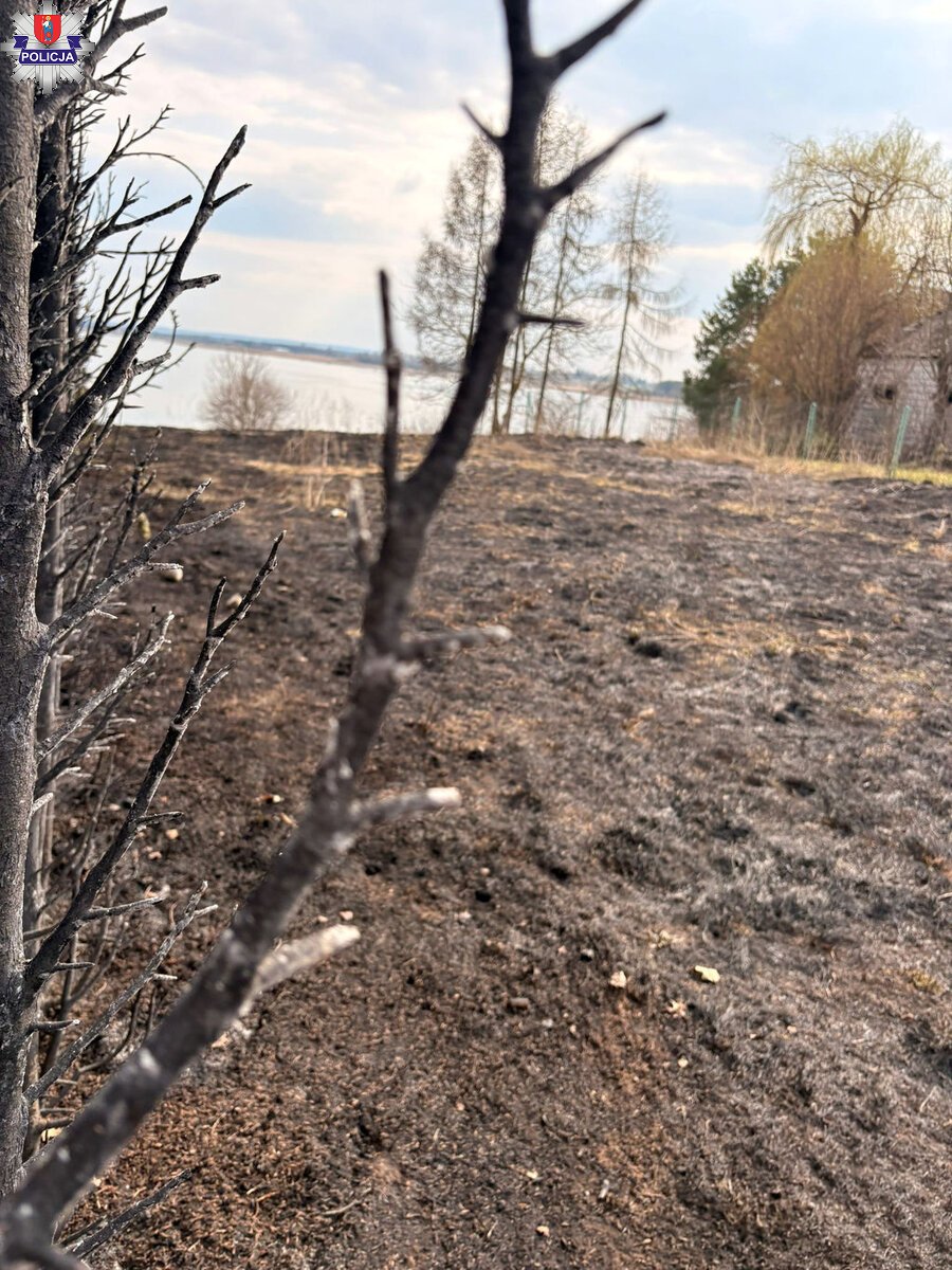 361-287452