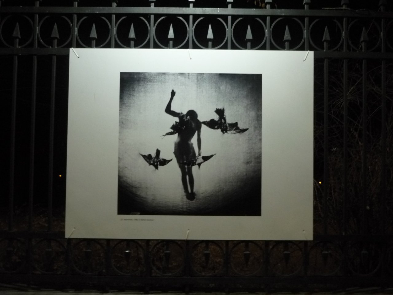 P1290888