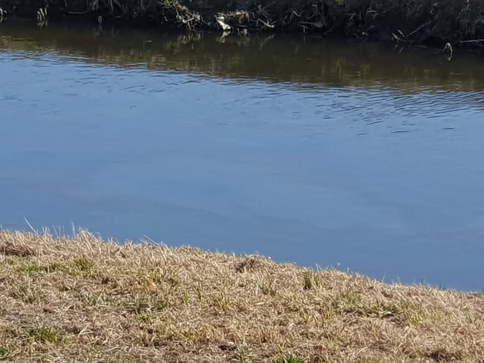 648629197_2064799747782647_1685526837078483919_n