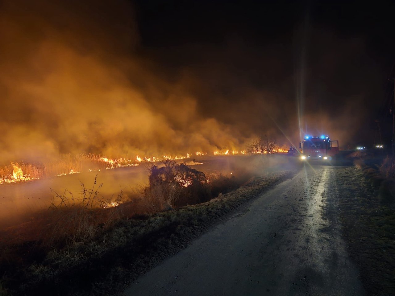 zdjęcie z pożaru traw