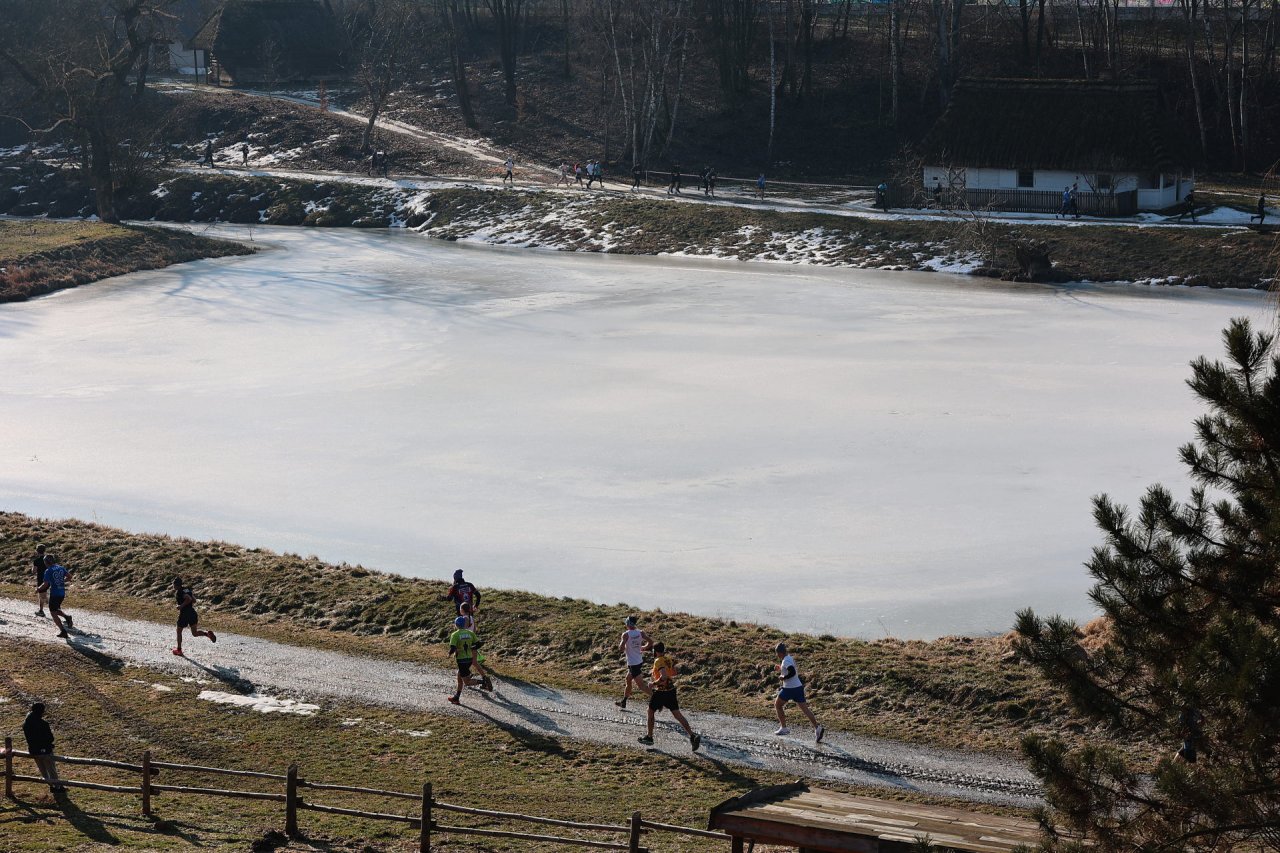PM260301_R63163_v1