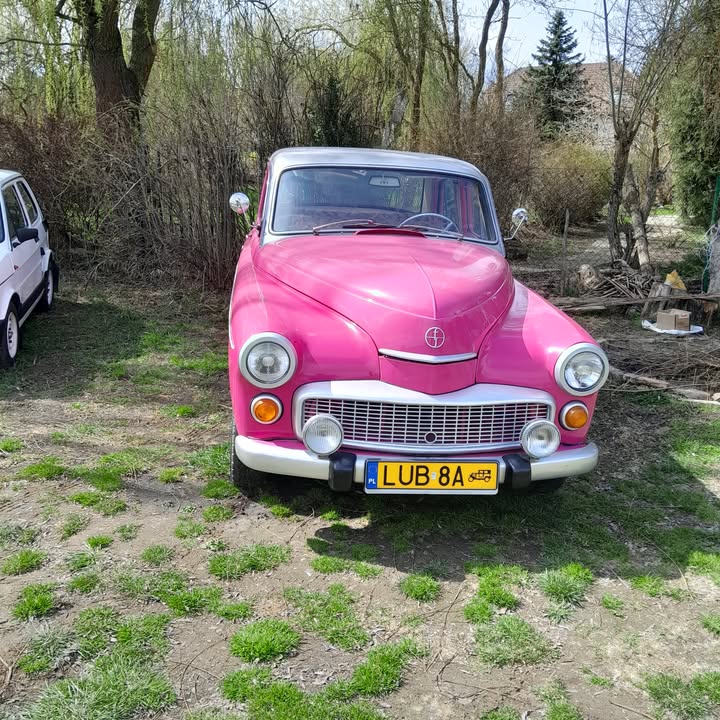 141j96