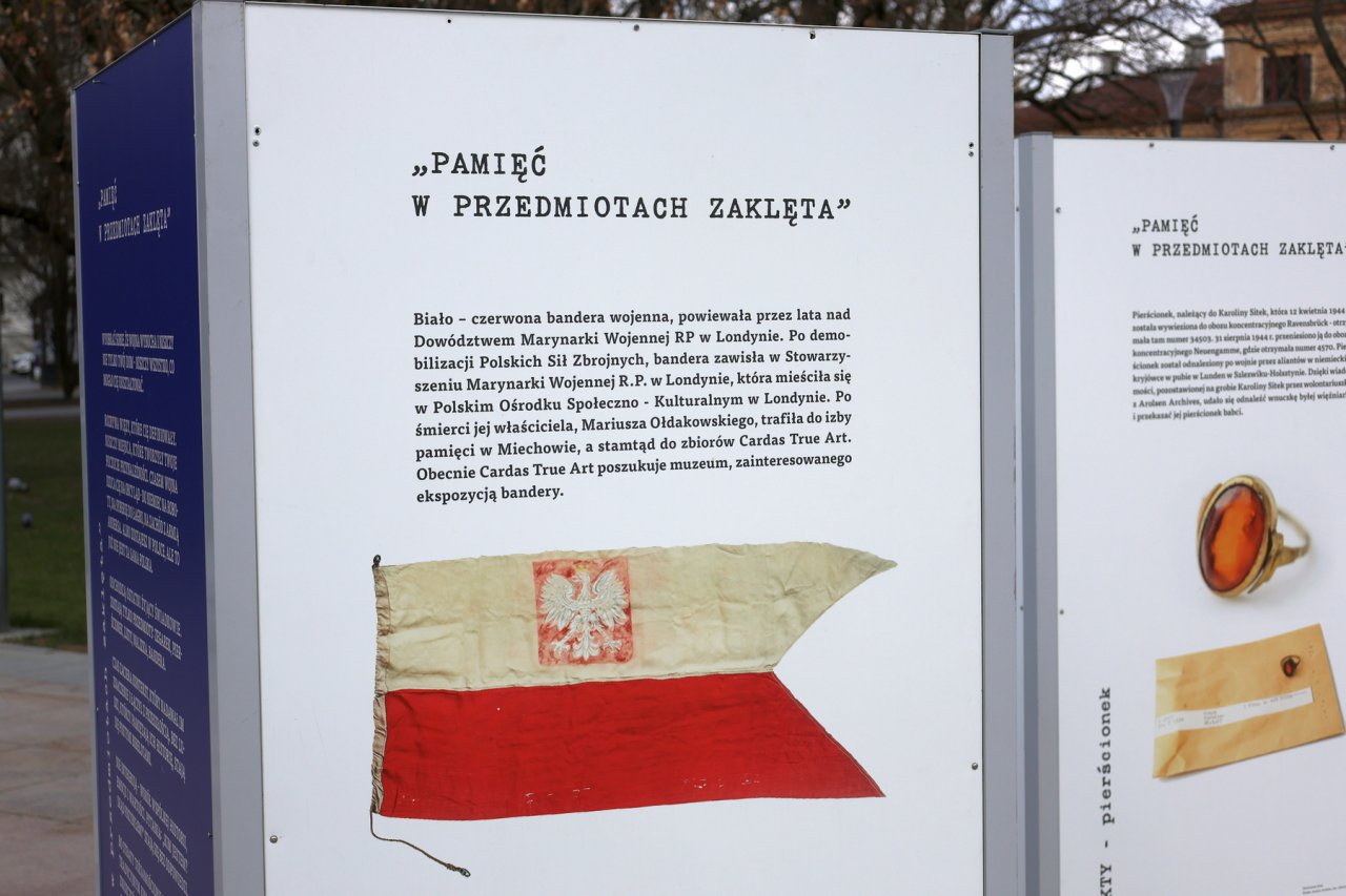 IN8A7045