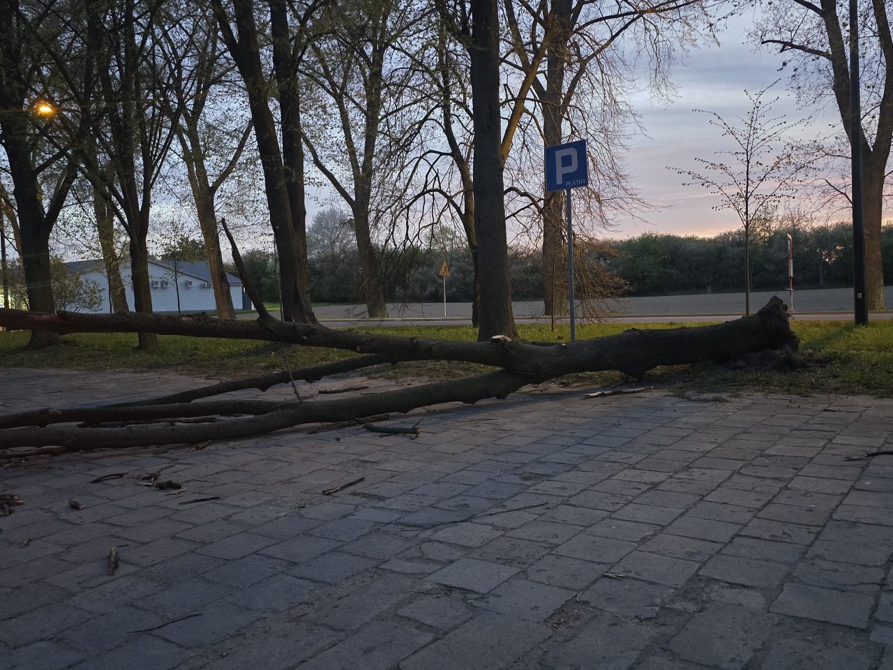 20260423_200514