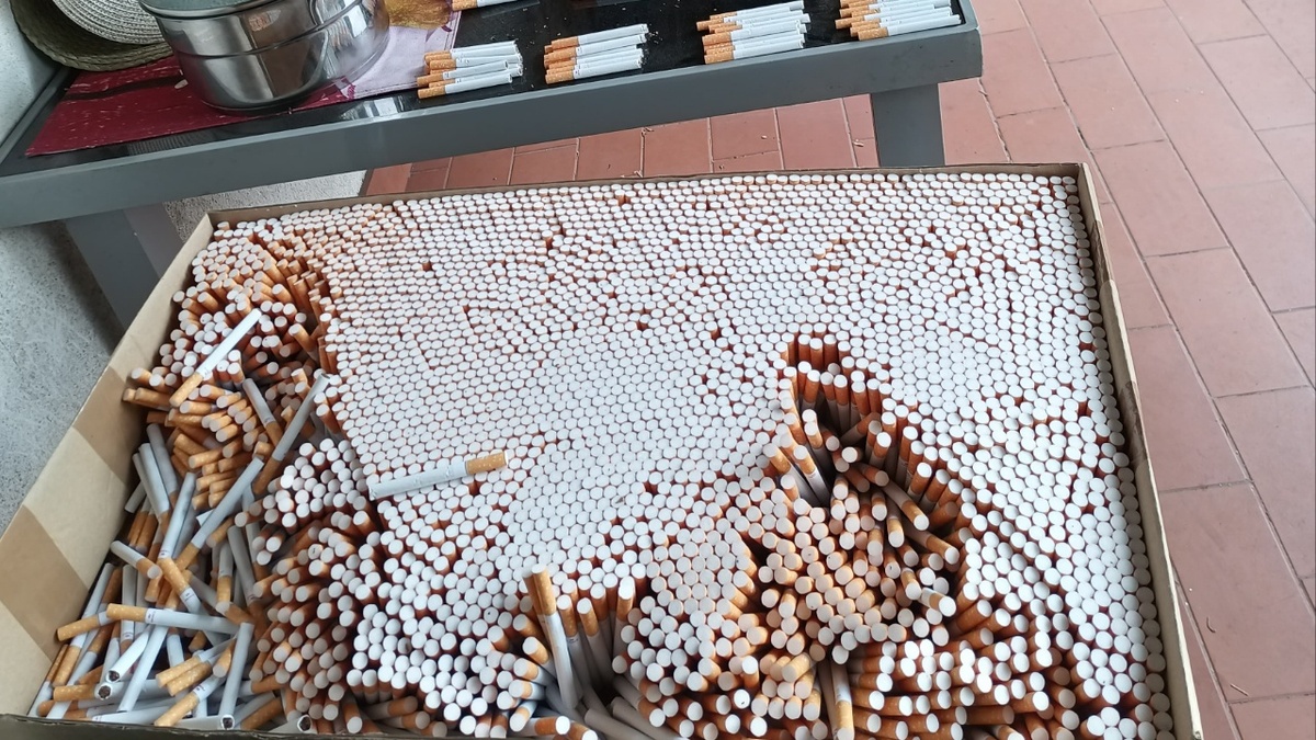 350-288804_g
