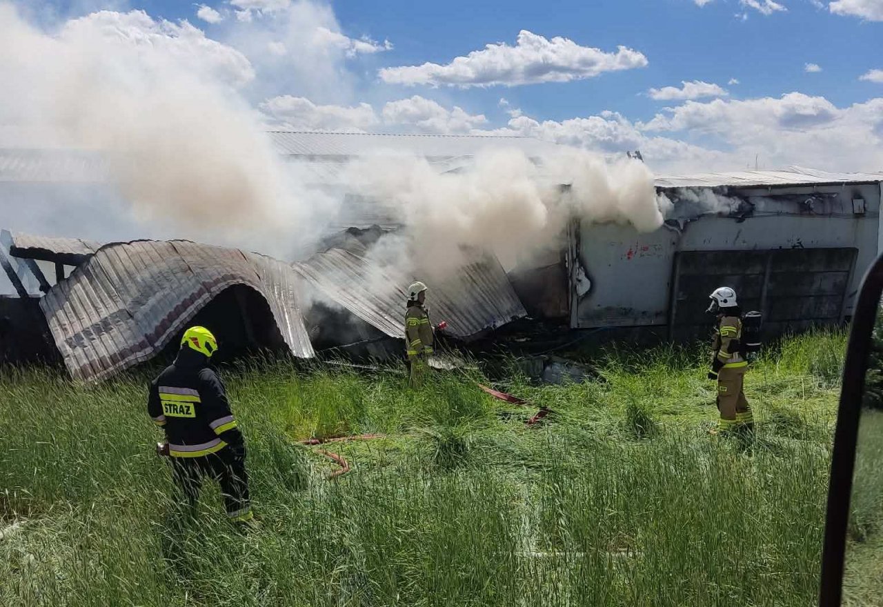 707931952_1311079344499300_30762873516268006_n