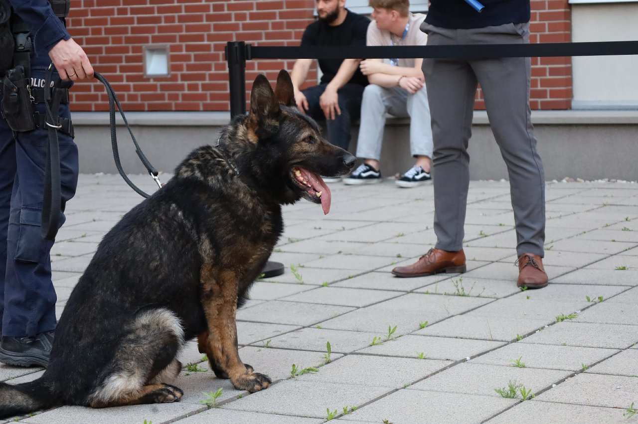 142d59