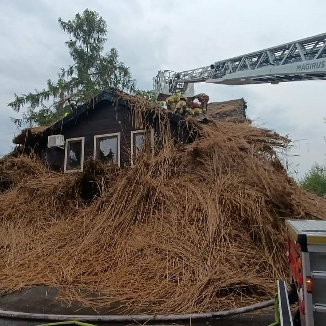 689704836_1467944095025599_714596255166942201_n