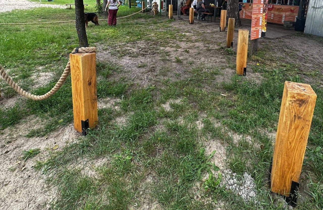 715526095_122175034970821128_1134387935296128309_n
