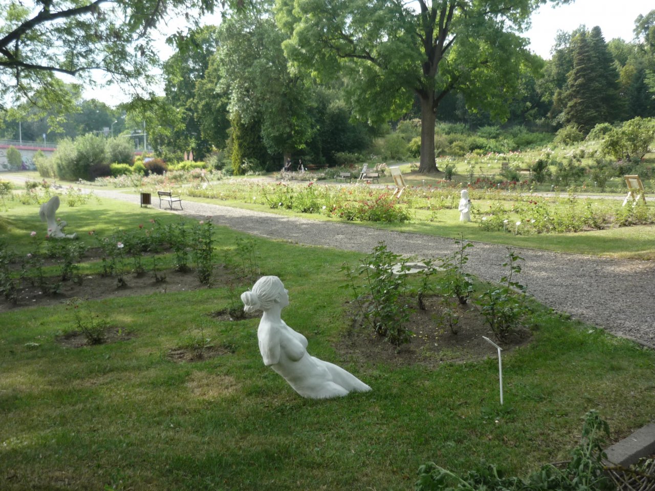 P1300809