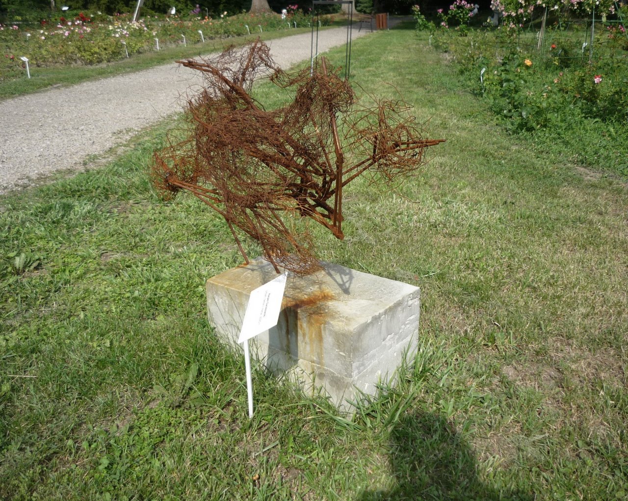 P1300817
