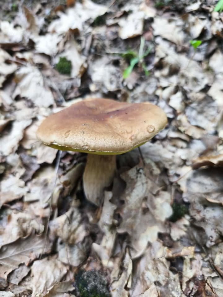 143f77