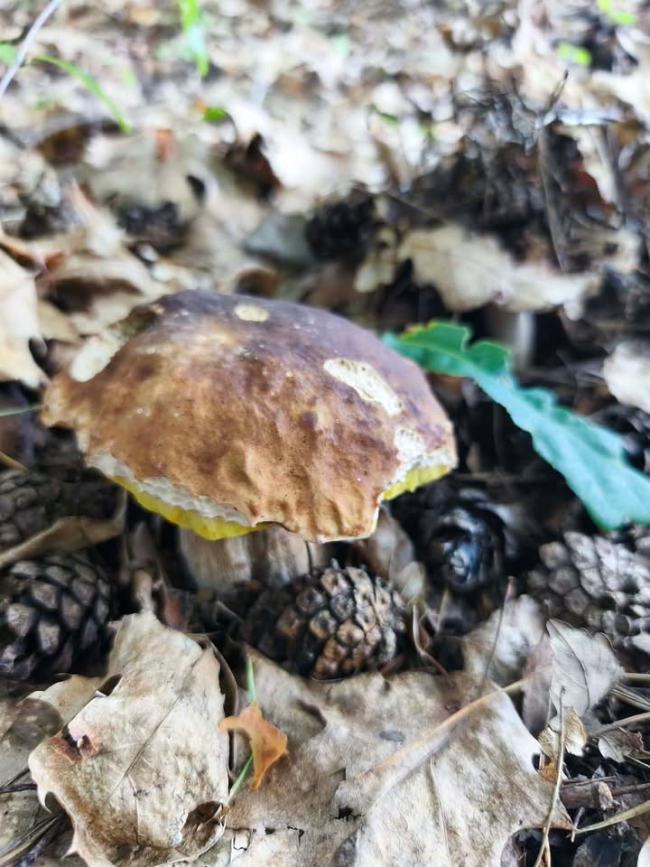 143f78